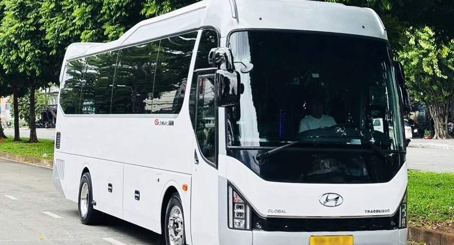 Coach for large tour groups