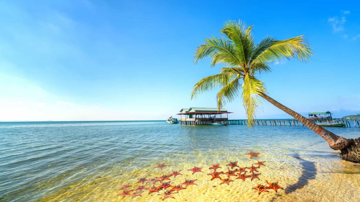 Starfish on a quiet northern beach in Phu Quoc